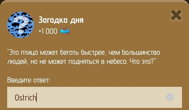 Загадка дня в Zoo на 13-14 января.