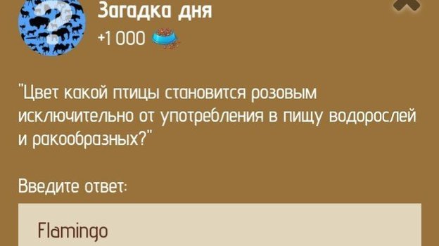 Загадка дня в Zoo 14-15 января.