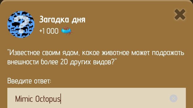 Загадка дня в Zoo 15-16 января.