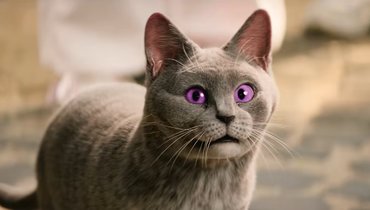 Школа магических зверей. Загадка волшебного леса, 2025.