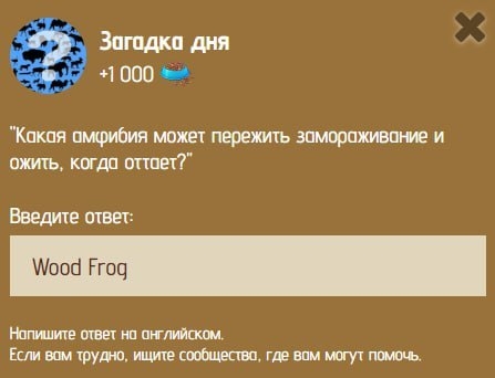 Загадка дня в Zoo 16-17 января.