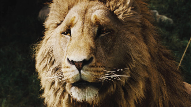 Кадр из фильма «Хроники Нарнии: Лев, колдунья и волшебный шкаф», реж. Эндрю Адамсон / Walt Disney Pictures, Walden Media