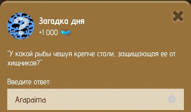 Загадка дня в Zoo 20-21 января.