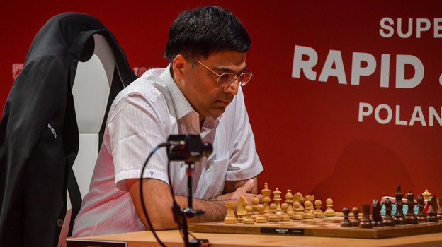 Вишванатан Ананд. Вице-президент ФИДЕ Вишванатан Ананд