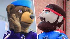 Тест: Угадай команду OLIMPBET Чемпионата России — ВХЛ по маскоту