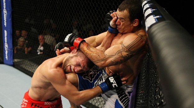 Бой Хабиба Нурмагомедова и Глейсона Тибау.