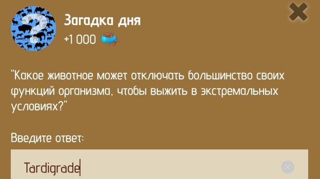 Загадка дня в Zoo 28-29 января.