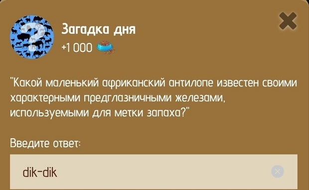 Загадка дня в Zoo 29-30 января.