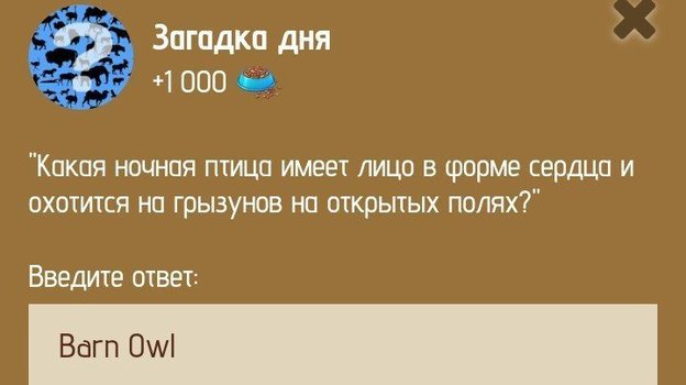 Загадка дня в Zoo 31 января.