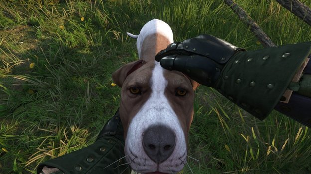 Не Мухтар, но тоже ничего.