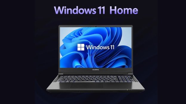 Colorful EVOL P15 24.