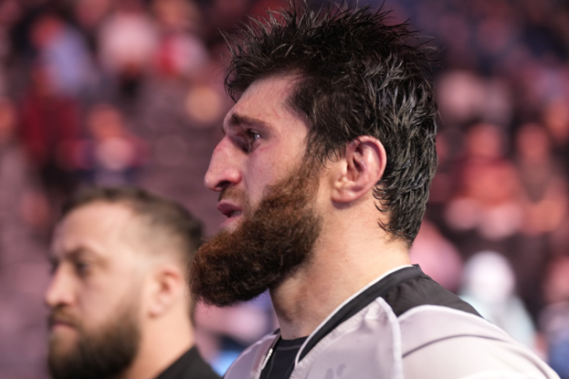 Магомед Анкалаев. Боец ММА Магомед Анкалаев