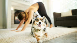 Корги и йога