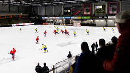 Матч между сборными Швеции и Норвегии на чемпионате мира по хоккею с мячом. Линчепинг.