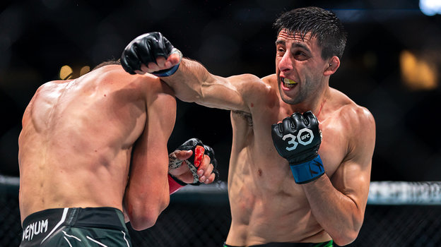 Стив Эрцег.