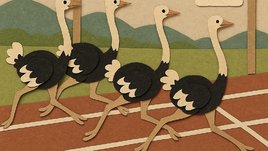 Отличите ли вы реальные спортивные соревнования от вымышленных? Тест