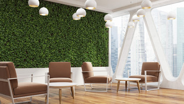 Как использовать микрозелень в интерьере.