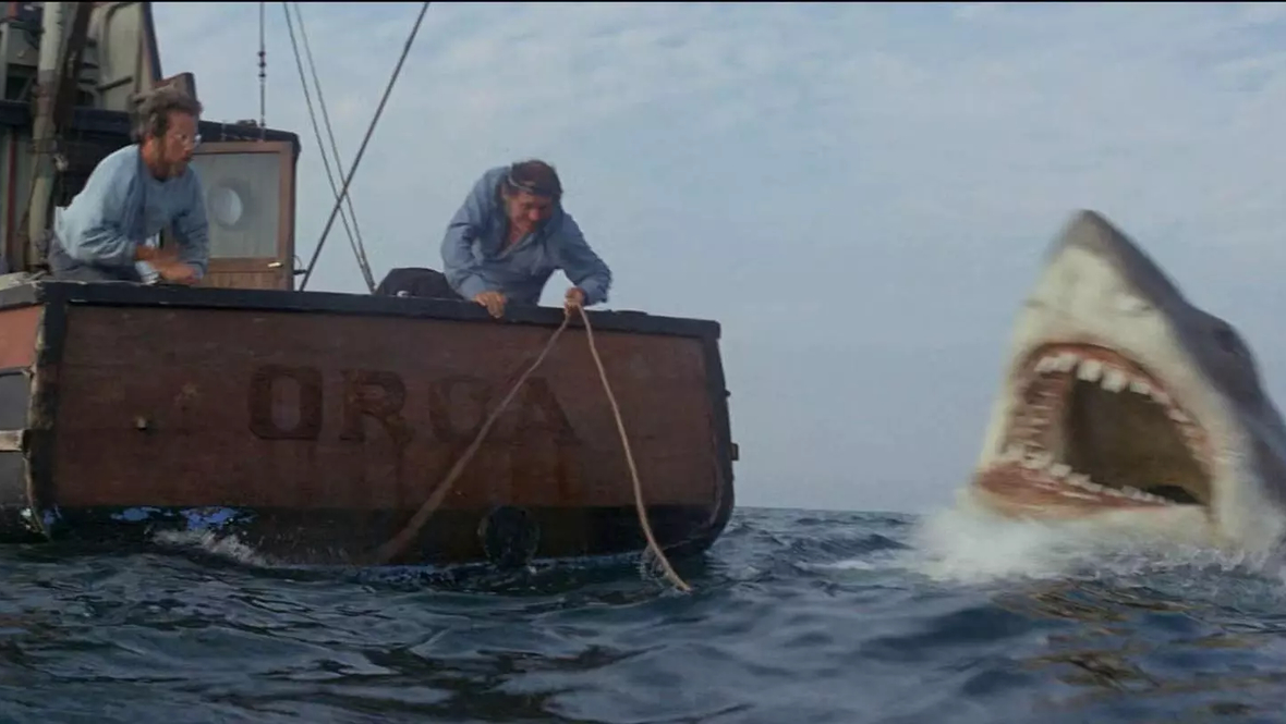 Кадр из фильма «Челюсти», реж. Стивен Спилберг/ Universal Pictures