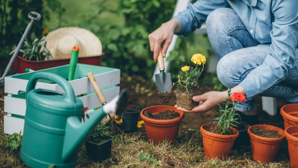 День садовода