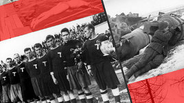 80 фактов о спорте во время Великой Отечественной войны