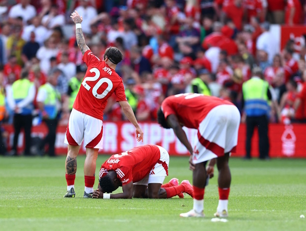 Тайво Авонийи на газоне.