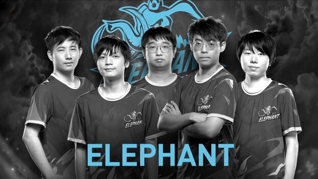 Elephant на TI10.
