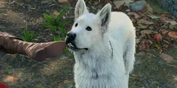 Любимый питомец Шкряб из Балдур Гейт 3.