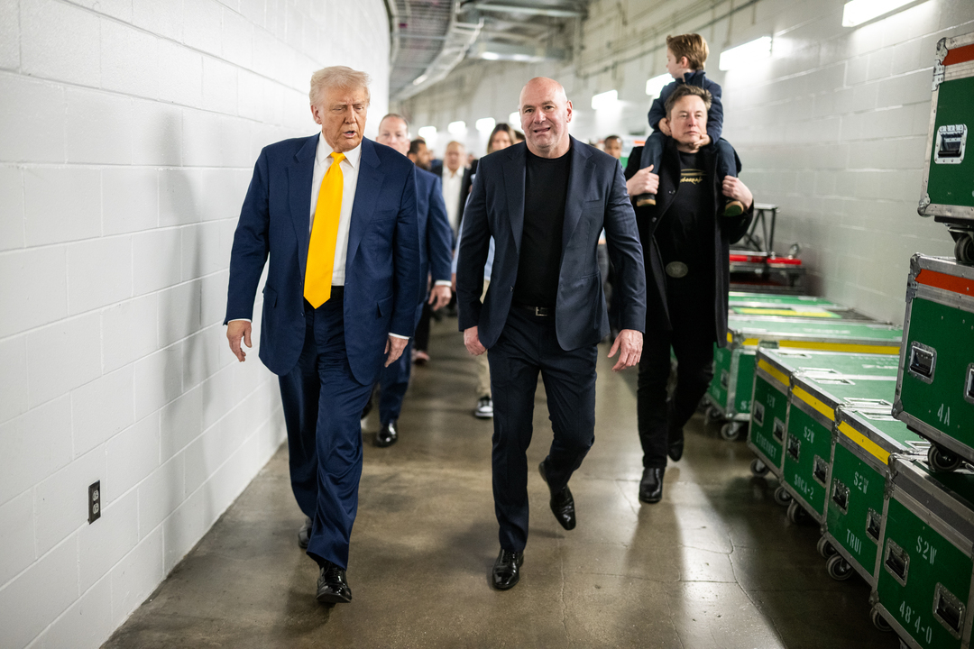 Дональд Трамп, Дана Уайт и Илон Маск.