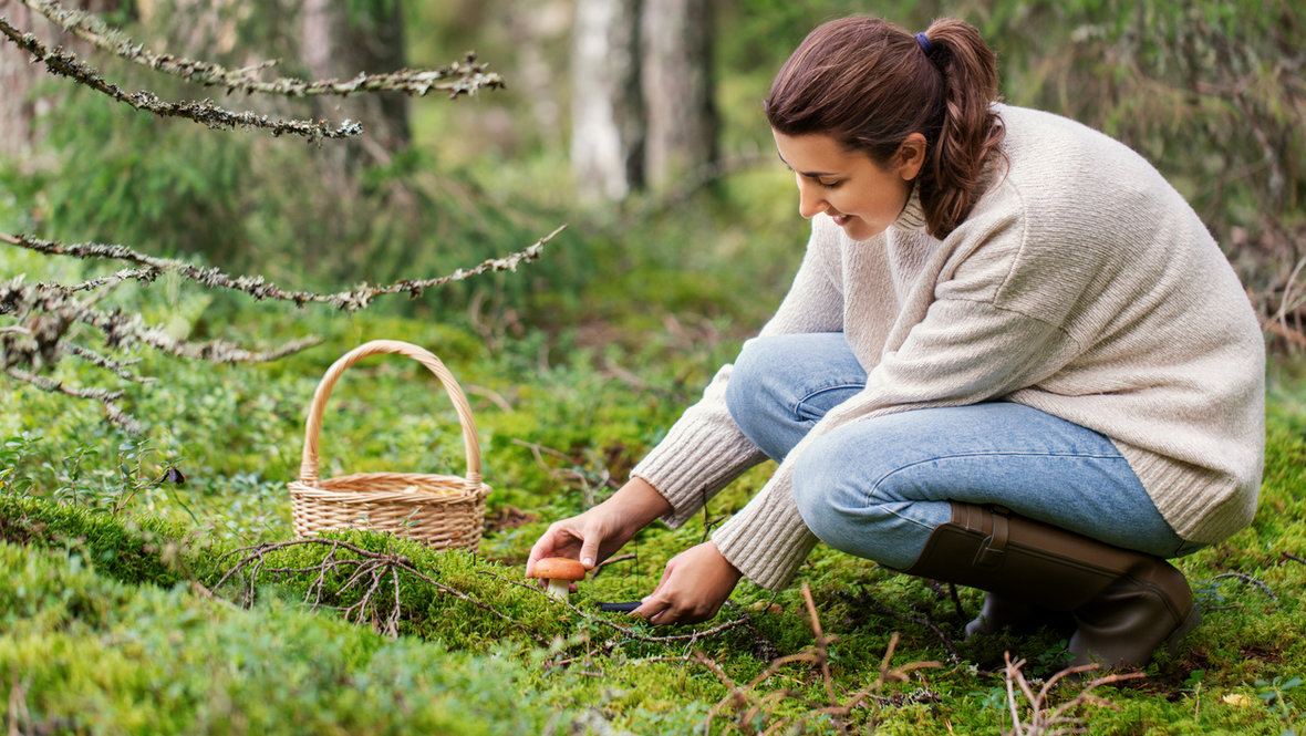 Девушка собирает грибы