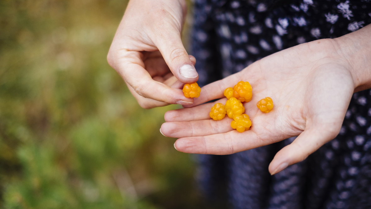 Морошка на ладони девушки