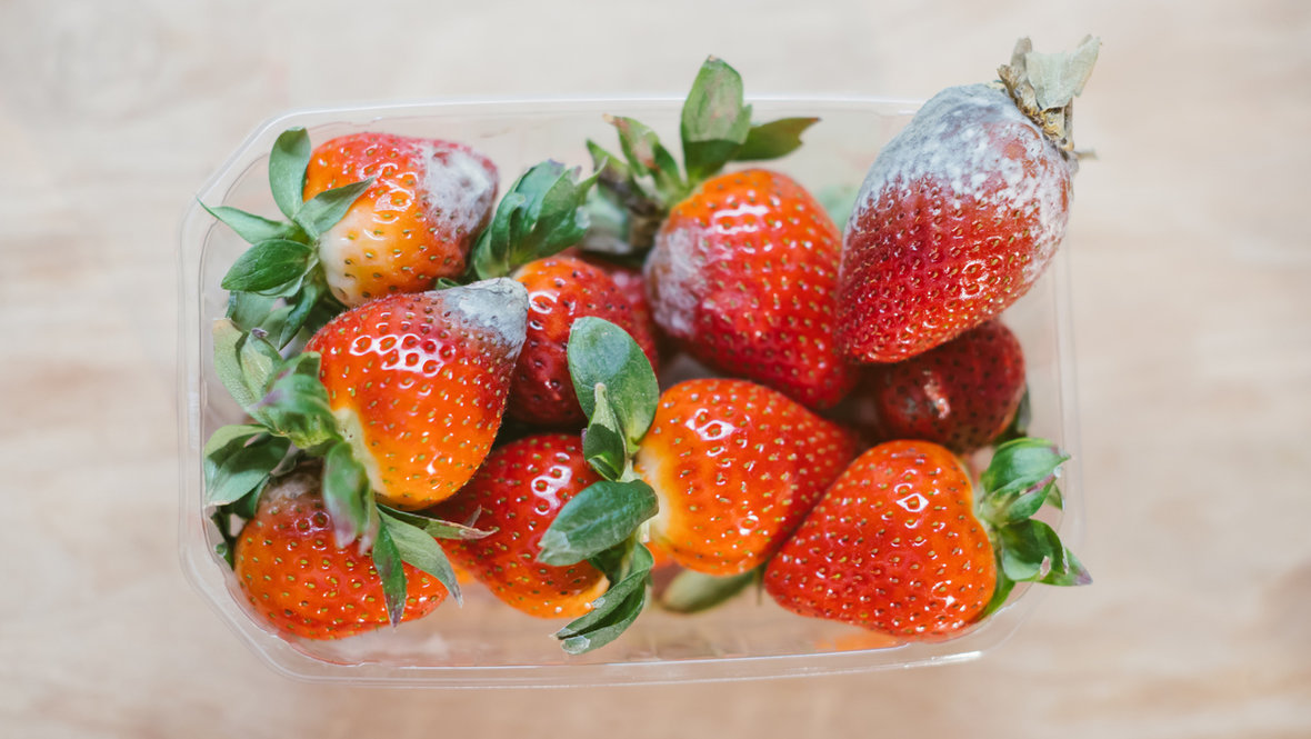 Плесень на клубнике