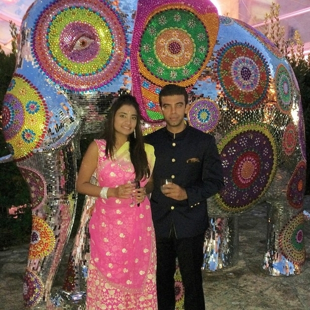 Пара Амит Бхатия и Ваниша Миттал. топ-5 самых дорогих свадеб в мире