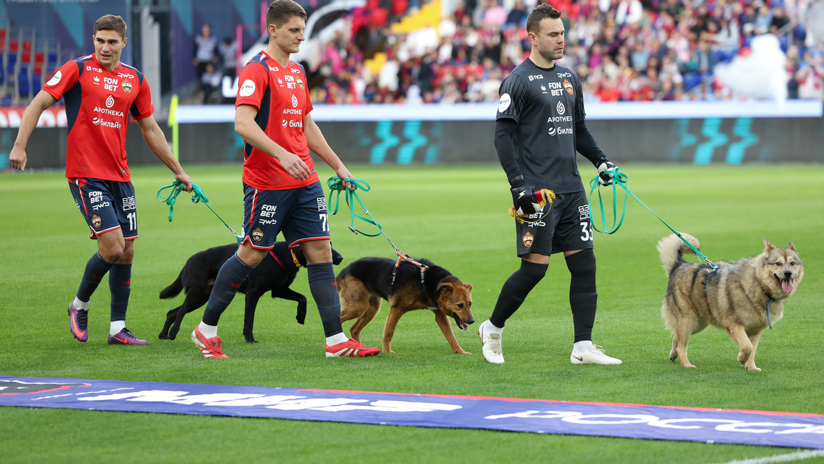 Армейцы с собаками, гол Дзюбы и победа ЦСКА