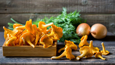 Лучшие рецепты блюд из лисичек.