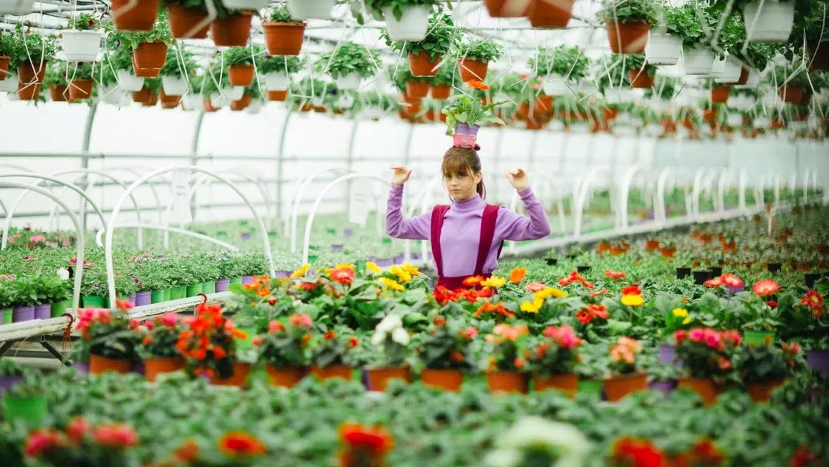 Кадр из сериала «Любопытная Варвара», реж. Юрий Коробейников, Wink