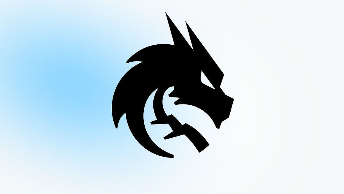 Логотип Team Spirit.