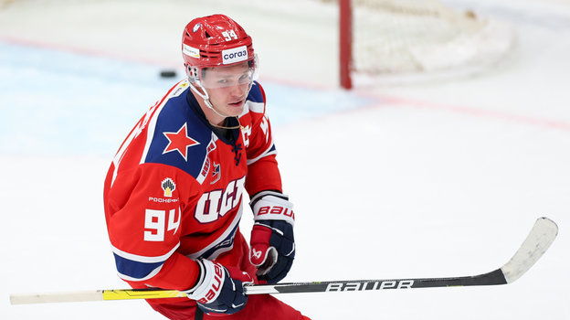 Владислав Каменев.