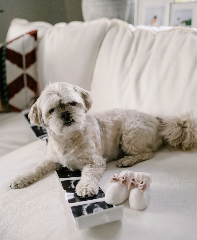 Каспер Рууд станет отцом.