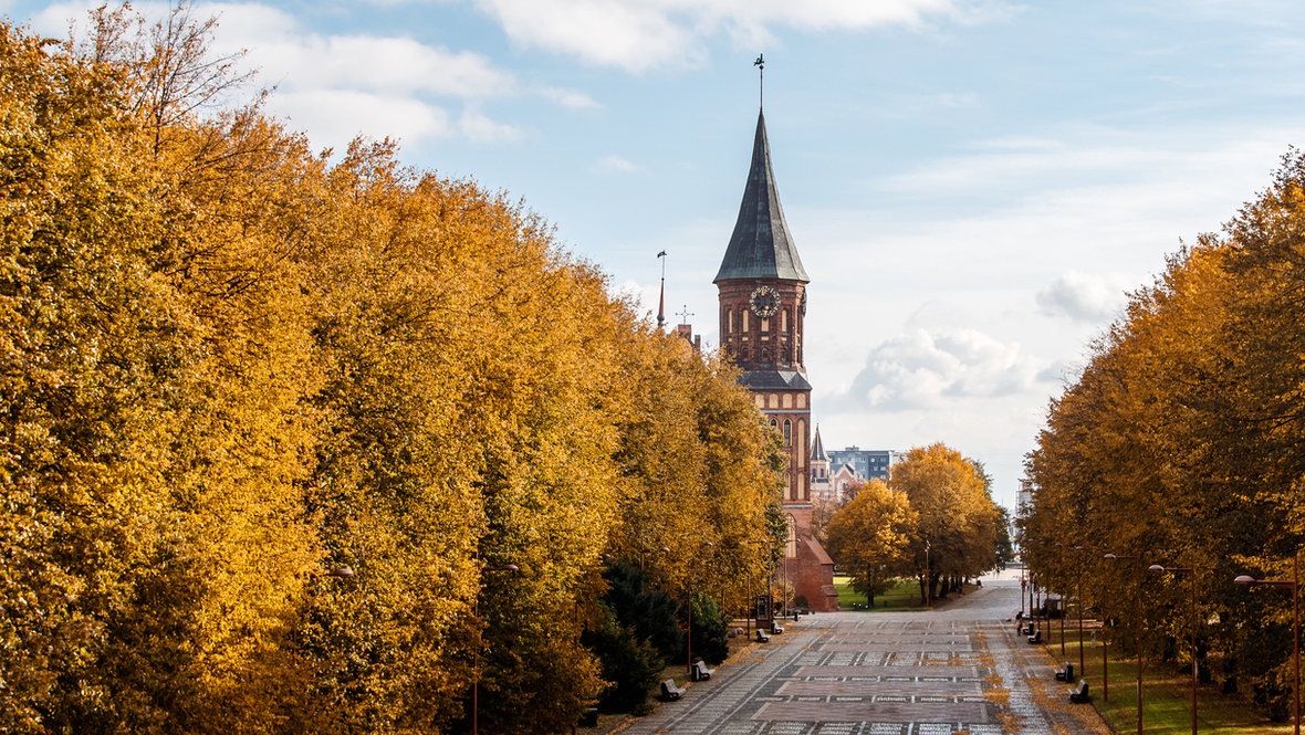 Калининград. Калининград.