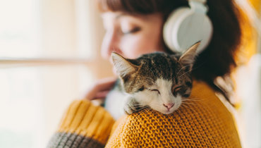 Ветеринар объяснил, могут ли кошки чувствовать болезни людей