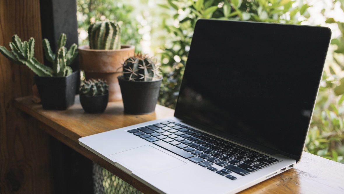 Ноутбук возле кактусов