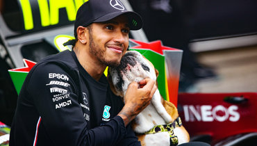 «Останется в памяти навсегда». Хэмилтон получил тысячи соболезнований после смерти своей собаки