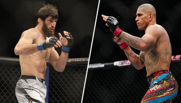 Магомед Анкалаев vs Алекс Перейра 2: дата и время начала, статистика бойцов и прогноз, трансляция боя UFC 320