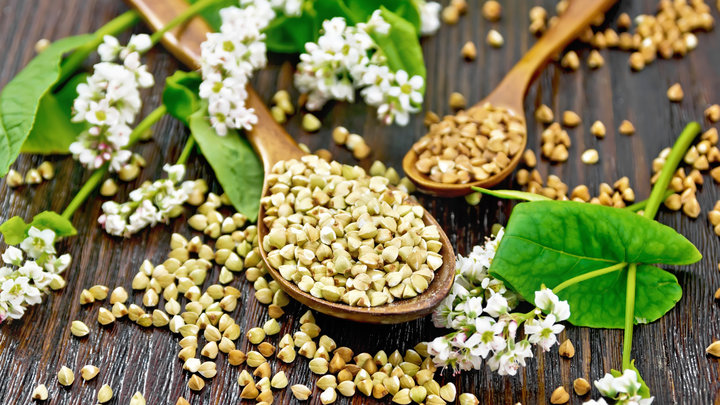 зеленая гречка