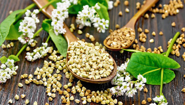 зеленая гречка