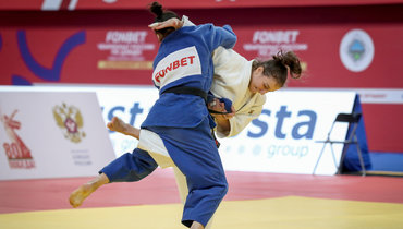 Чемпионы из Дворца