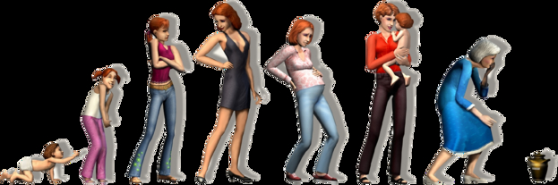 Возрастная шкала по этапам в The Sims 2.