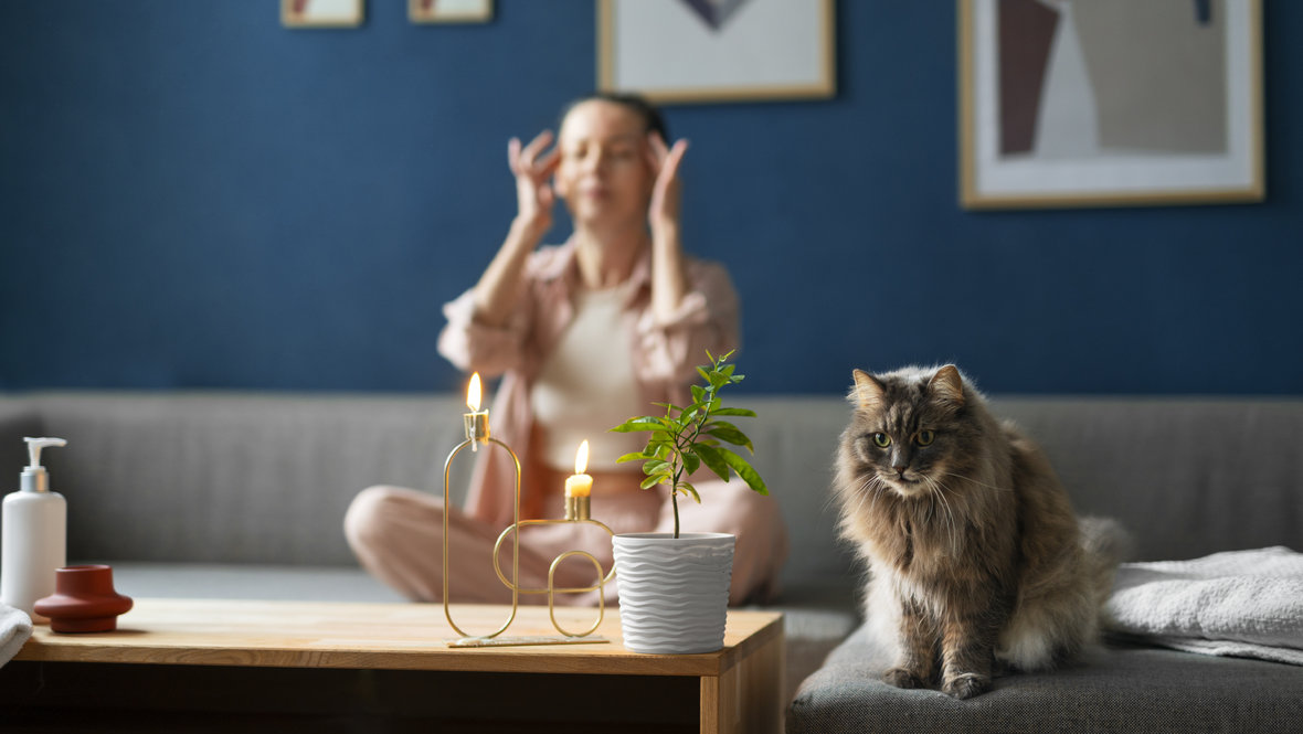 Кошка и хозяйка в квартире