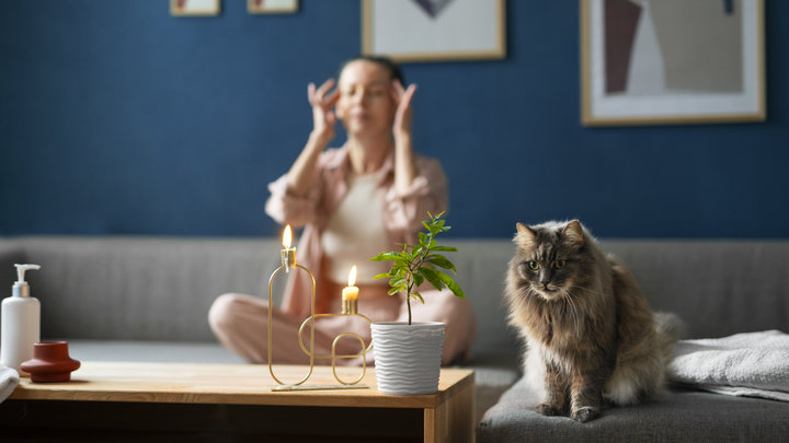 Кошка и хозяйка в квартире