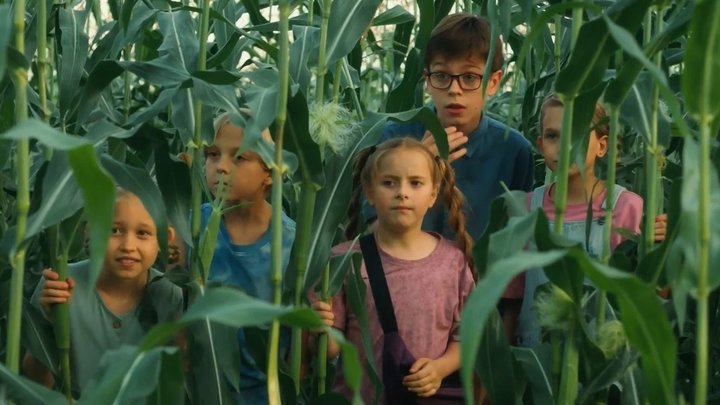 Кадр из фильма «Поле чудес», реж. Анна Сичинская, All Media, ВЕГА Фильм